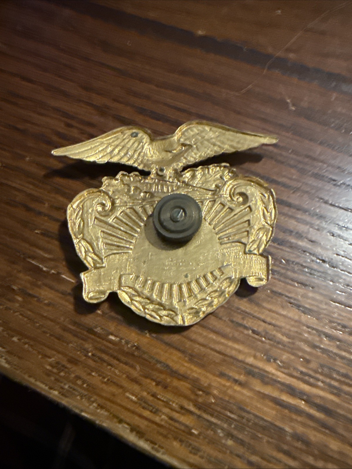 Vintage CPP Insignia Badge Pin