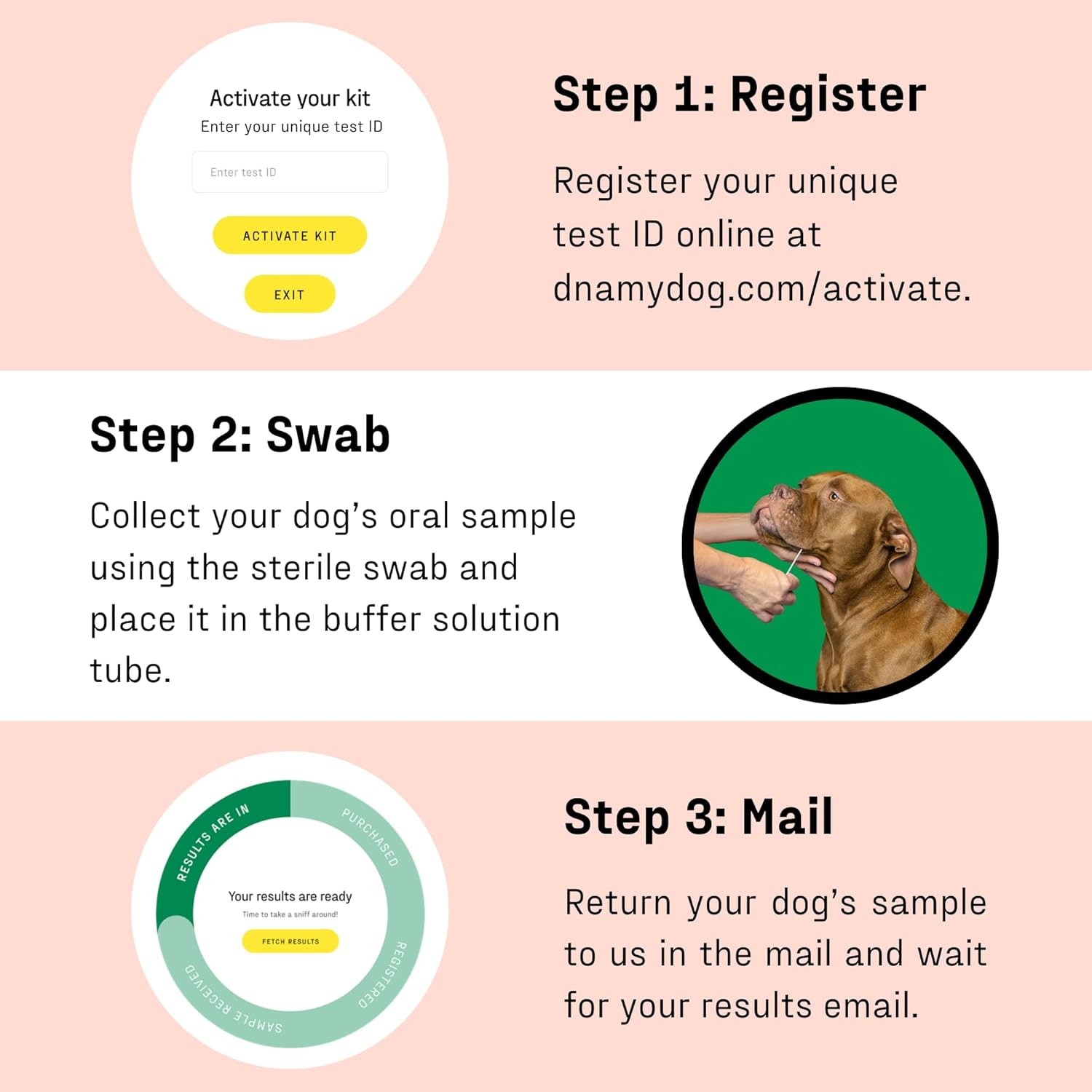 Precision Allergy Testing Designed for Dogs withSensitive Skin CheekSwabSampling