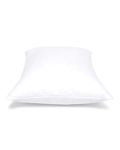 Pillow Inserts - Pack of 2 - Rectangular Decorative Throw or Sham 12" x 20"
