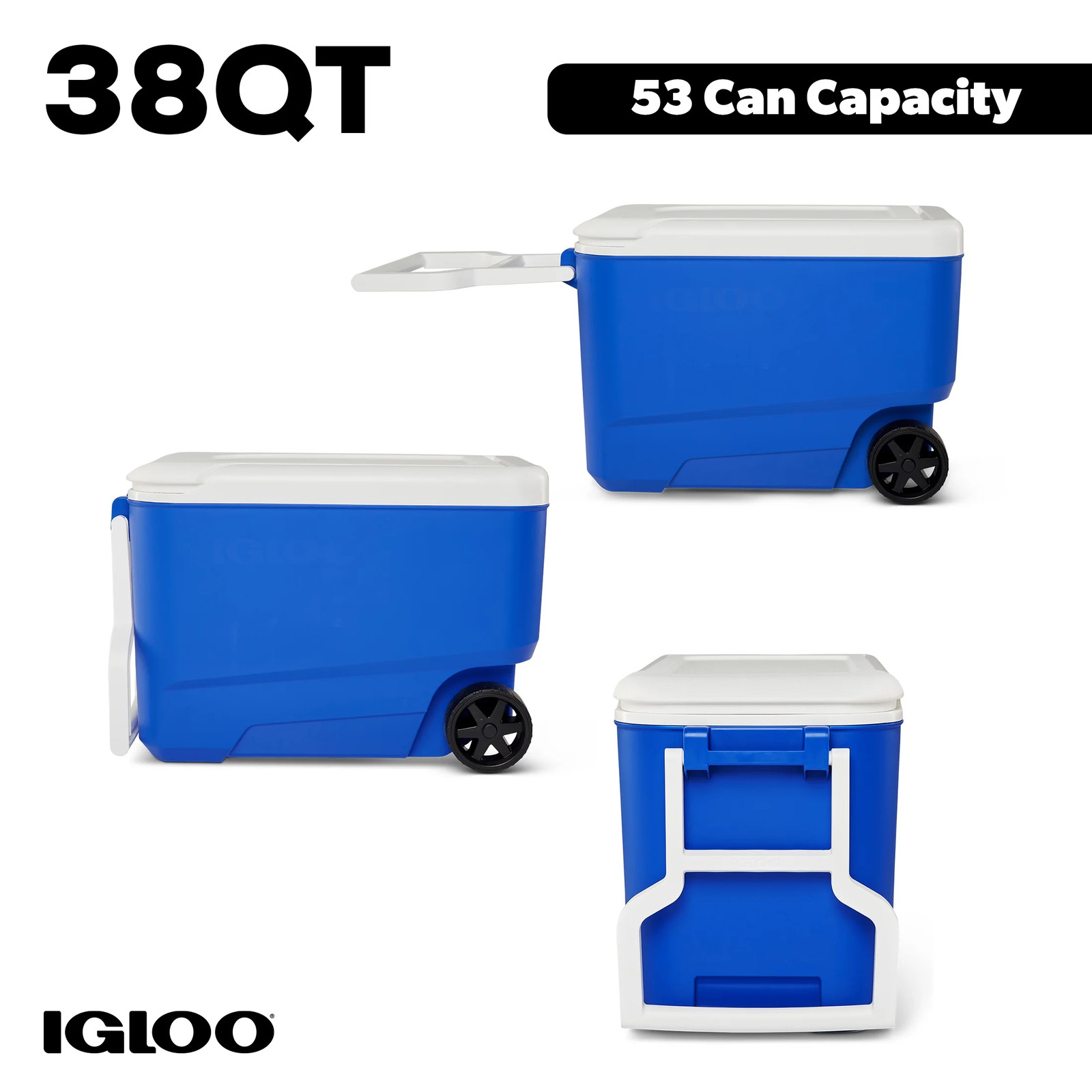 Wheelie Cool 38 QT Hard Sided Cooler with Wheels, Blue