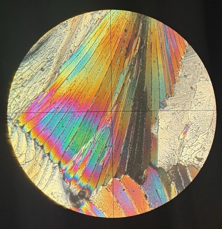 Zeiss Universal III Reflected Light Polarizing Photometry Microscope