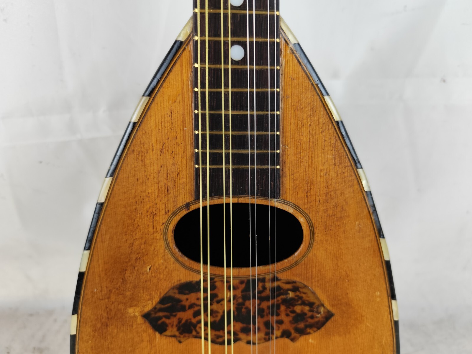 Mandolin 4/4 Pasquale Vinaccia 1882 Naples 曼陀林 만돌린マンドリン