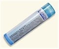 Boiron Cocculus indicus 30C – 80 pellets