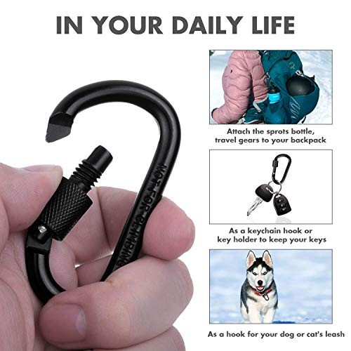 Locking Carabiner D Ring Clips with Flat Key Ring 3 Carabiner with 9 Keyrings
