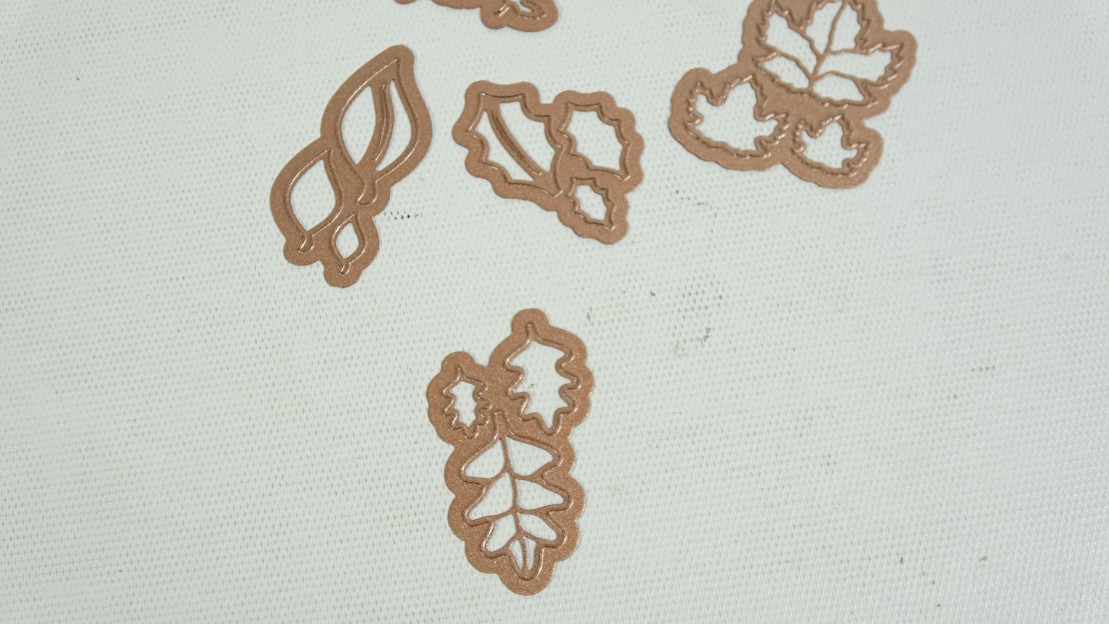 Spellbinder Shapeabilities Little Leaf Sets Fall Craft Dies S4385