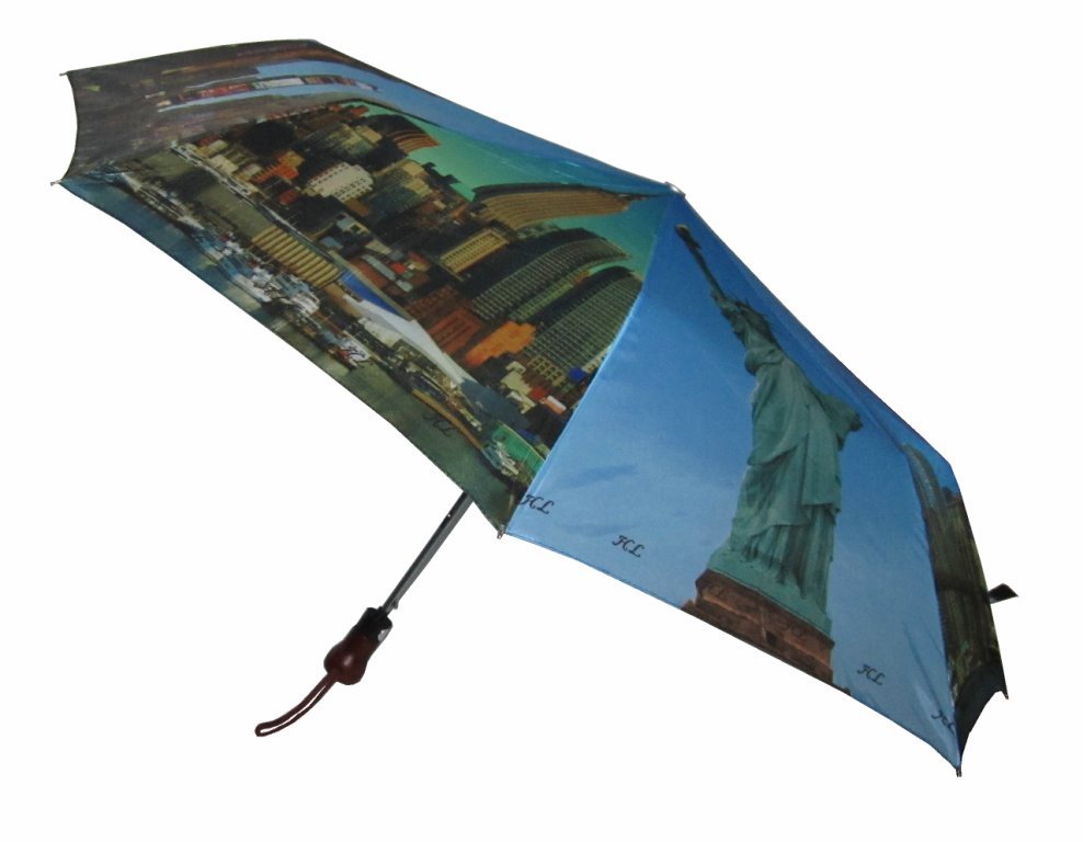 Auto Open NY Sign Folding Umbrella, Compact umbrella, mini umbrella