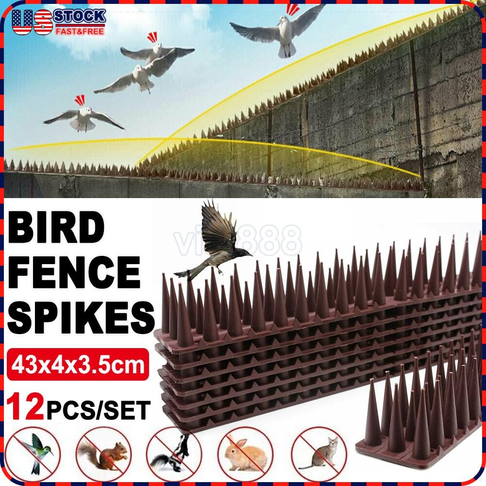 Anti Climb Wall Fence Spikes Cat Bird Animal Repellent Intruder Detterent Garden
