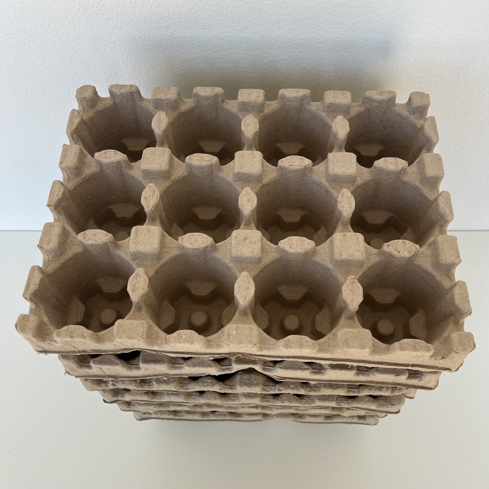 Beer Can Shipping Trays, Pack of 6