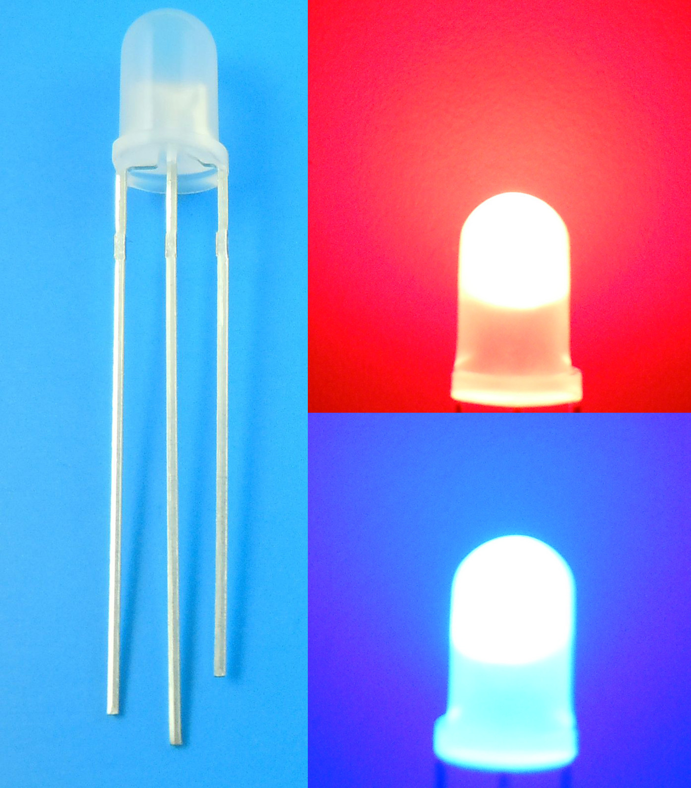 20Pcs 5mm Bi-Color Red/Blue 3 Pin LED Common Cathode