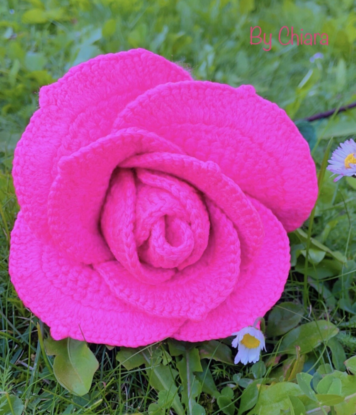 Rose Crochet