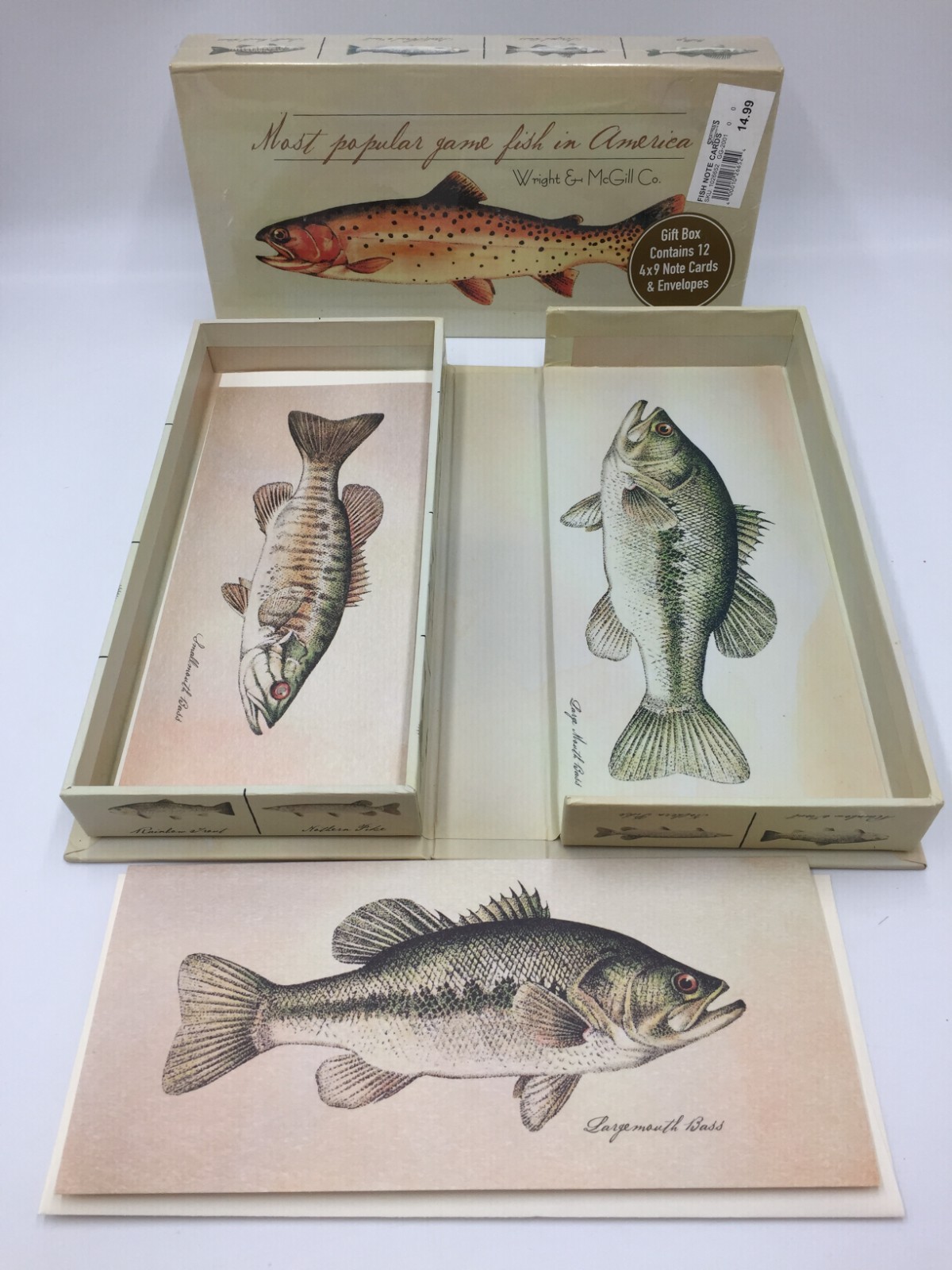 Wright & Mcgill Fish Stationary Note Cards & Envelopes,Sealed Box,2 In Other Box