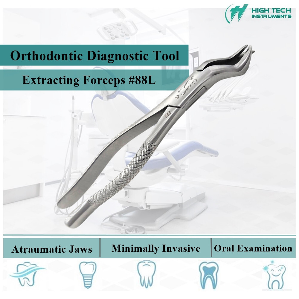 Dental Extracting Forceps 88L For Upper Molar Extraction German Stainless Steel