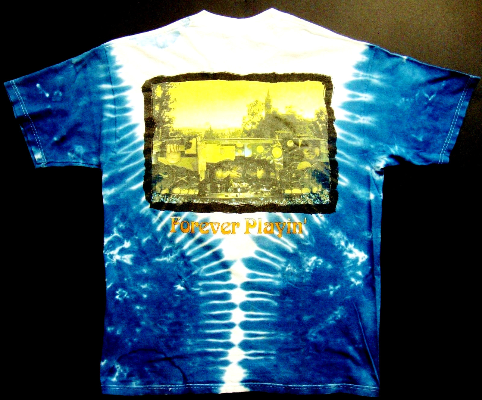 Grateful Dead Shirt T Shirt Vintage 1998 UC Berkeley Greek Theatre Cal 1989 GDP