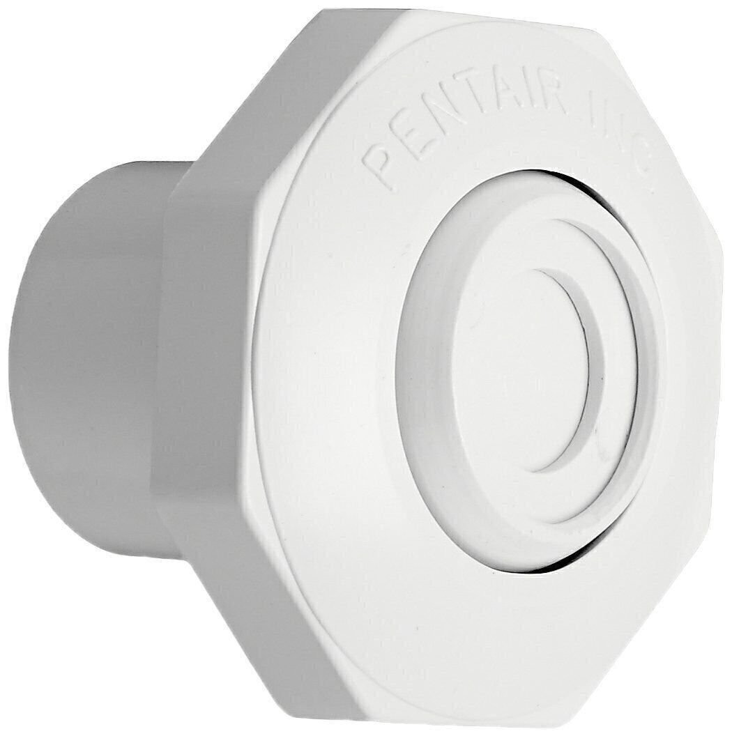 Pentair 542000 1-Inch Economy Insider Slip Inlet with Snap-In and Pressure...