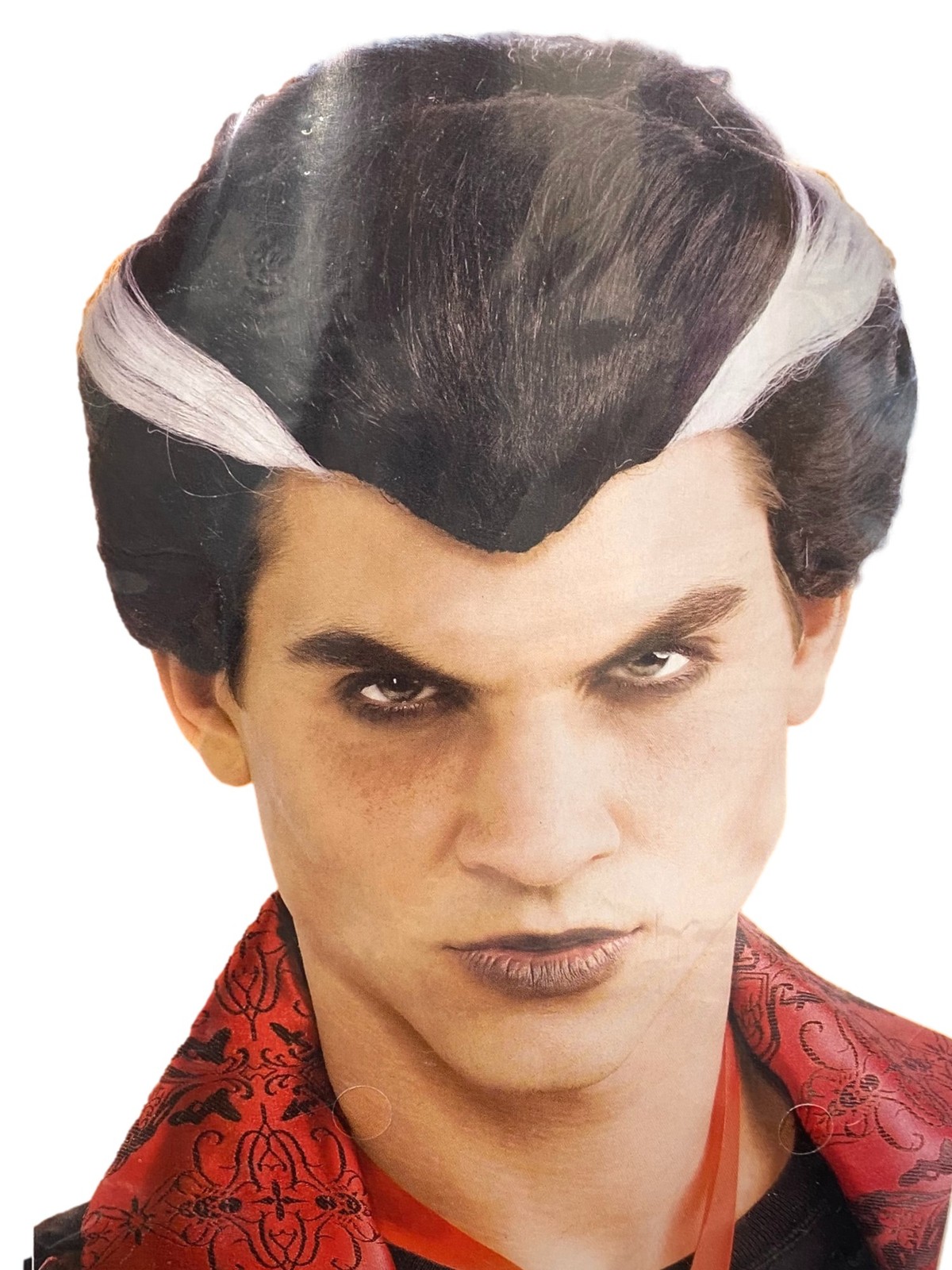 Tricks & Treats Men's Black With Silver Streaks Vampire Wig