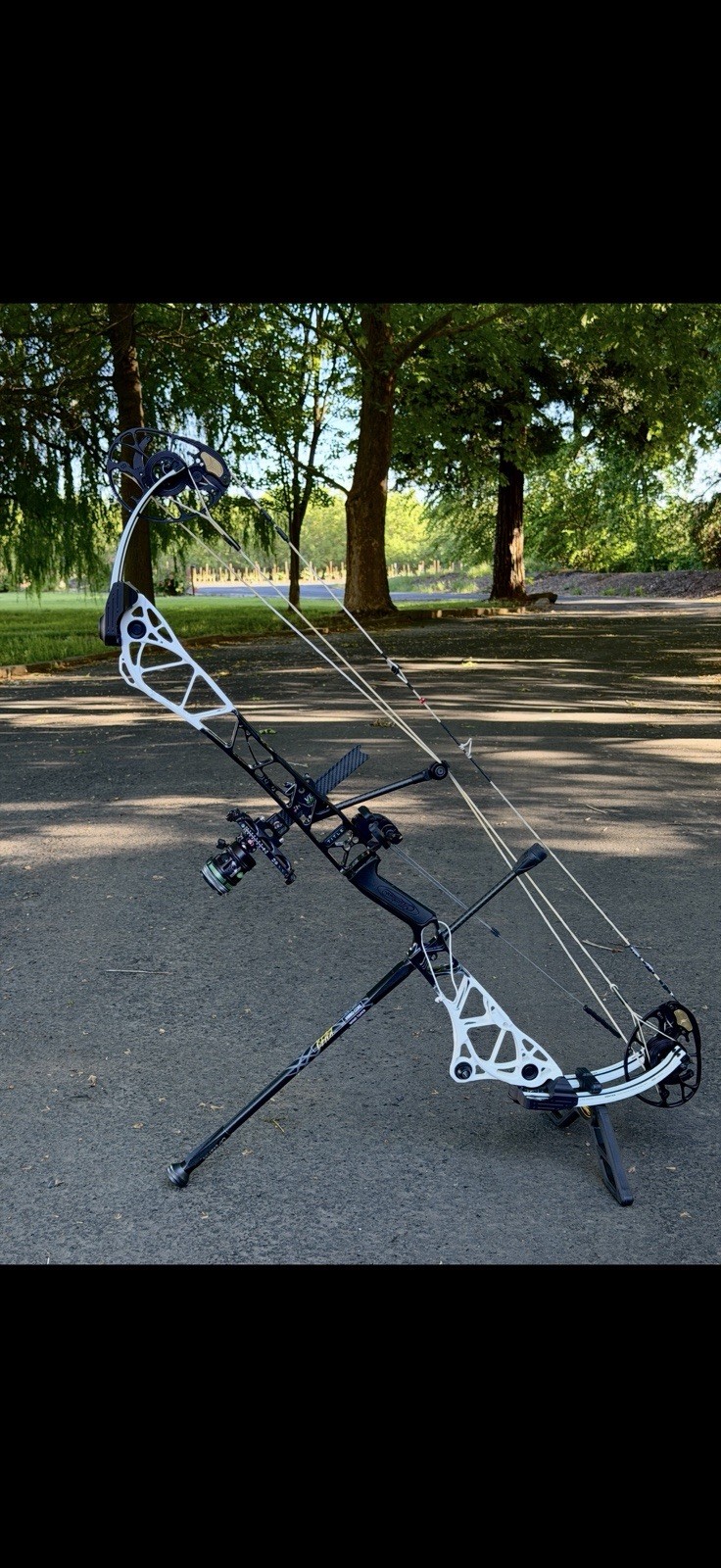 CUSTOM MATTHEWS TITLE 38 BARE BOW