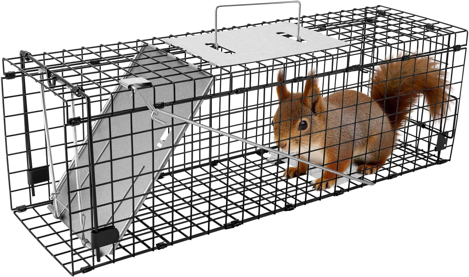 Squirrel Trap Heavy Duty Folding 24" Live Trap – Rabbit Trap with Oversized Wide