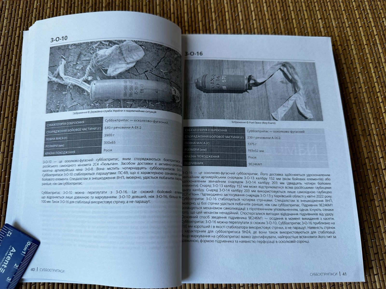 A Guide for Ukraine 2024