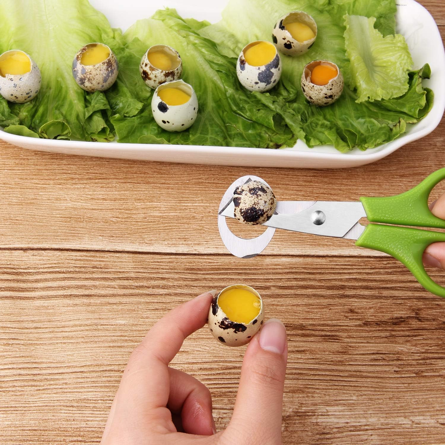 3Pcs Quail Egg Cutter Scissors Kitchen Egg Shears Tool (Green)