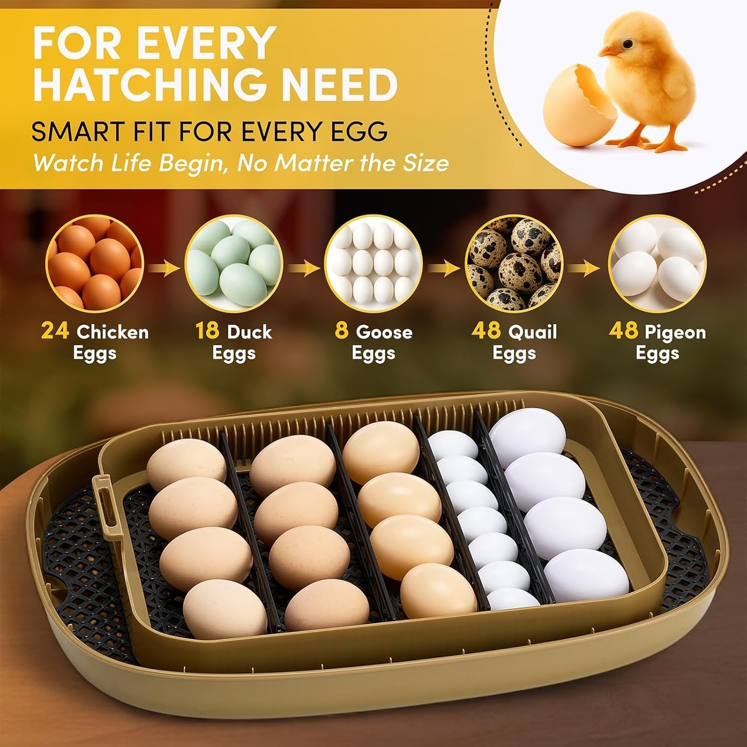 24 Egg Incubator, Incubators for Hatching Eggs with Fully Automatic Turner & ...