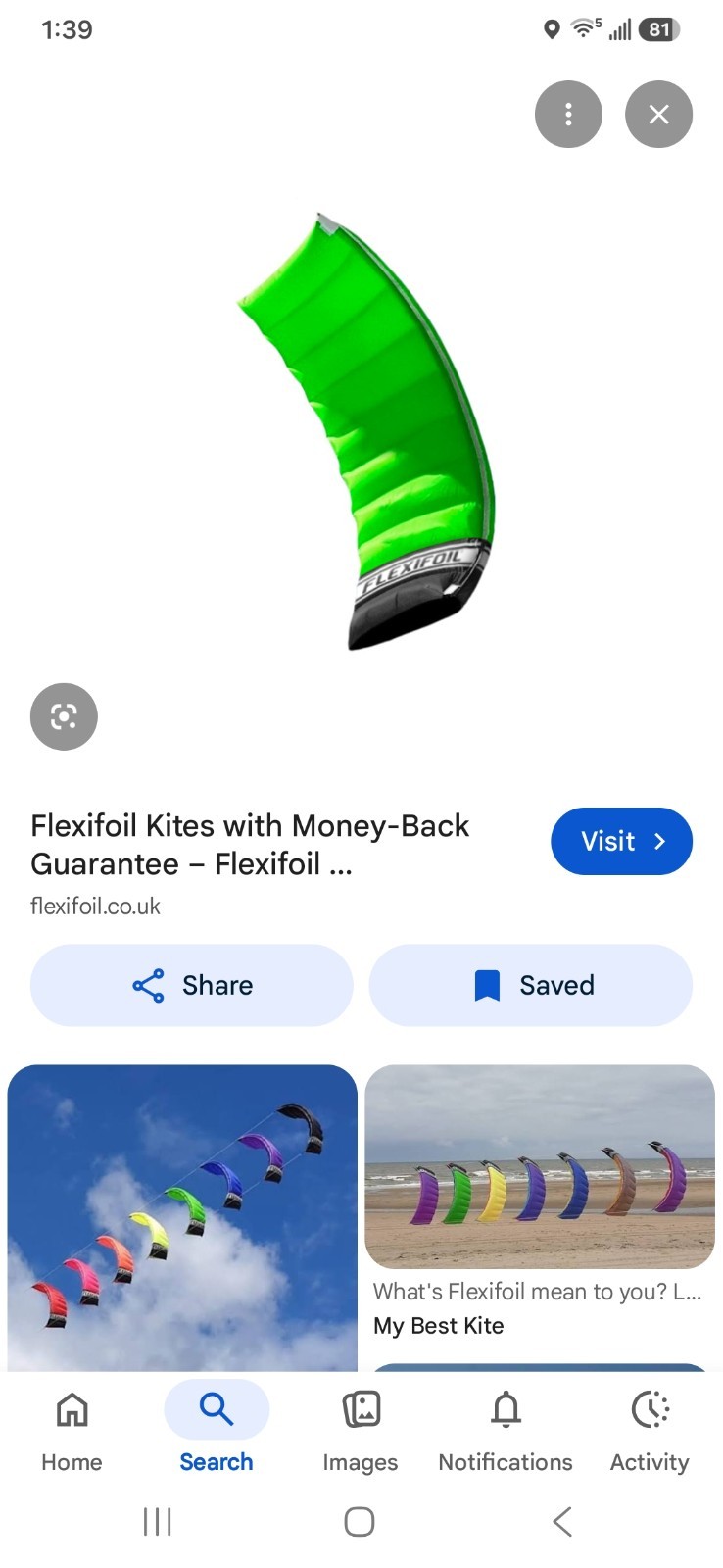 Flex Foil Kite