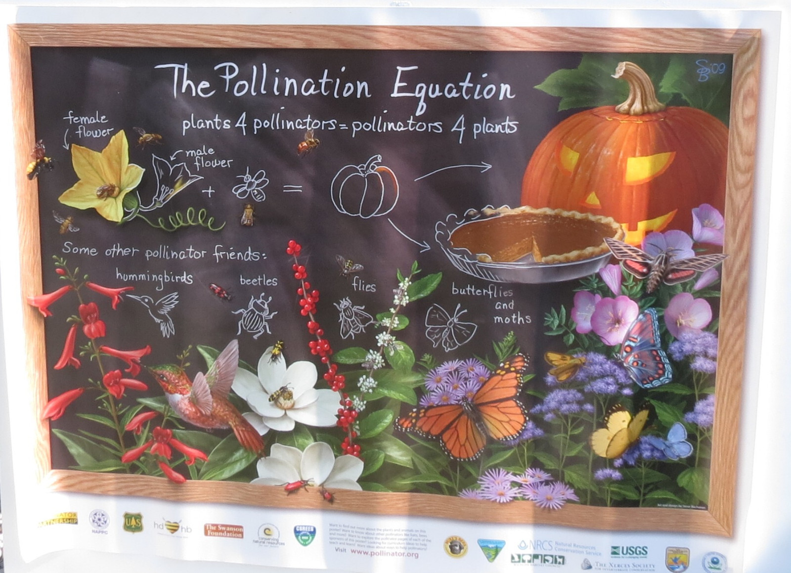 Pollinator Partner Poster 2020  Halloween Theme Teacher / Educator Resource NOS