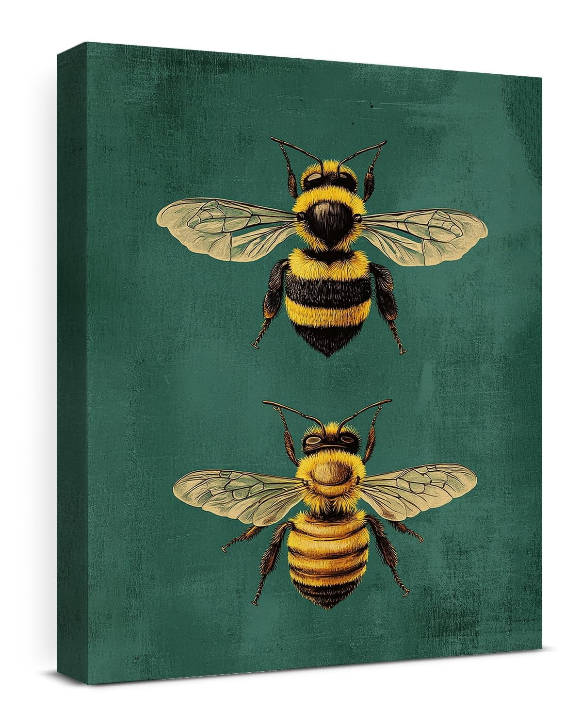 Bee Canvas Wall Art Vintage Dark Green Print Poster 10"L x 8"W, Animal-10