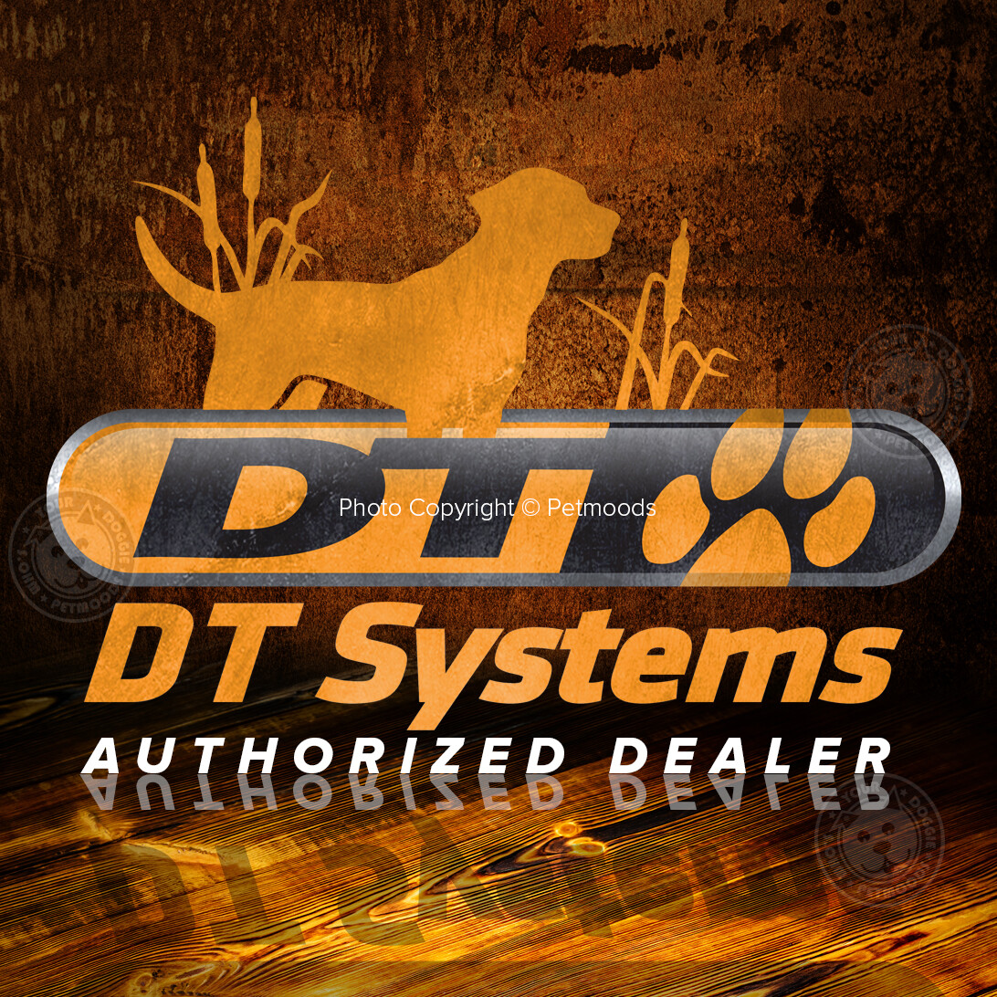 DT Systems Super Pro Dummy Launcher Hand Held Dog Training Kit Orange