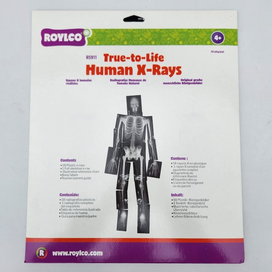 NEW Roylco True-to Life Human X-Rays - Age 4+ R5911 XRays Nancy Larson School Su
