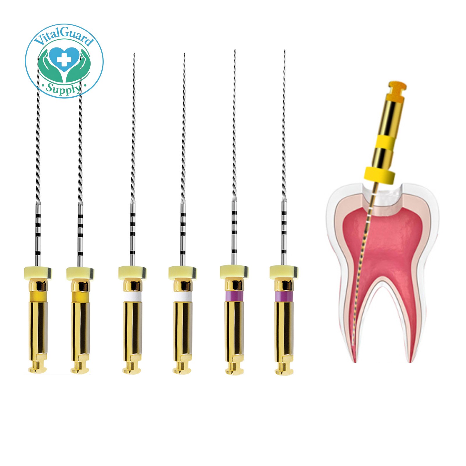 New Dental Endo Rotary NITI File X-PATH Engine Root Canal Treatment 25MM 13#-19