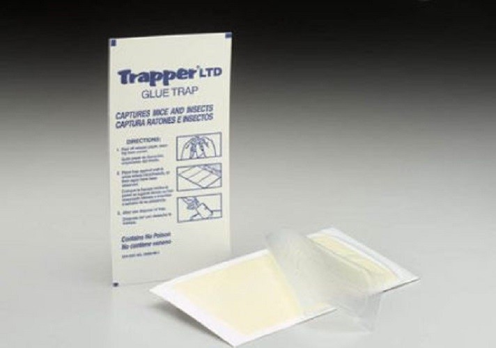 12 Mouse Glue Boards Mouse Traps Trapper LTD Mice Traps Insect Spider Traps
