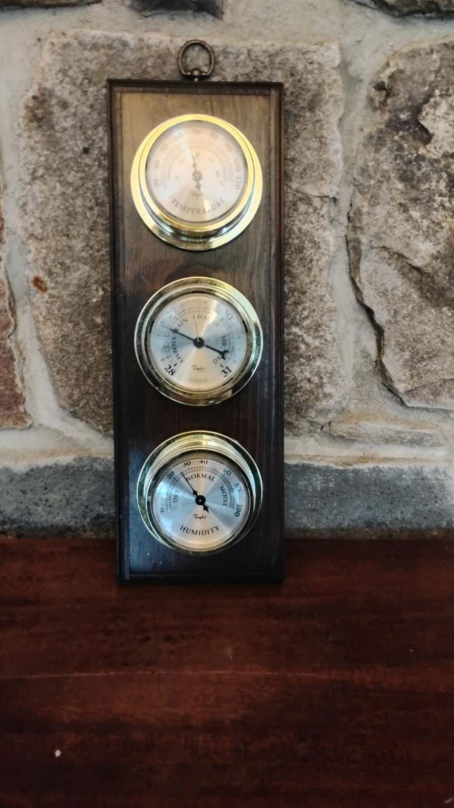 Taylor Sybron Weather Station
