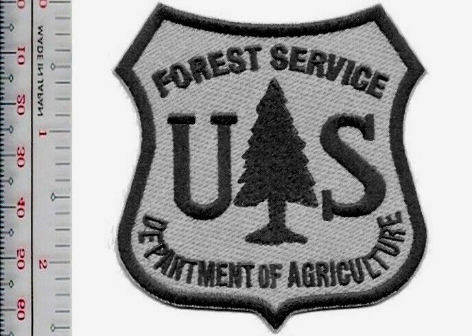 Hot Shot Wildland Fire Crew USFS United States Forest Service sm Patch NO TARIFF