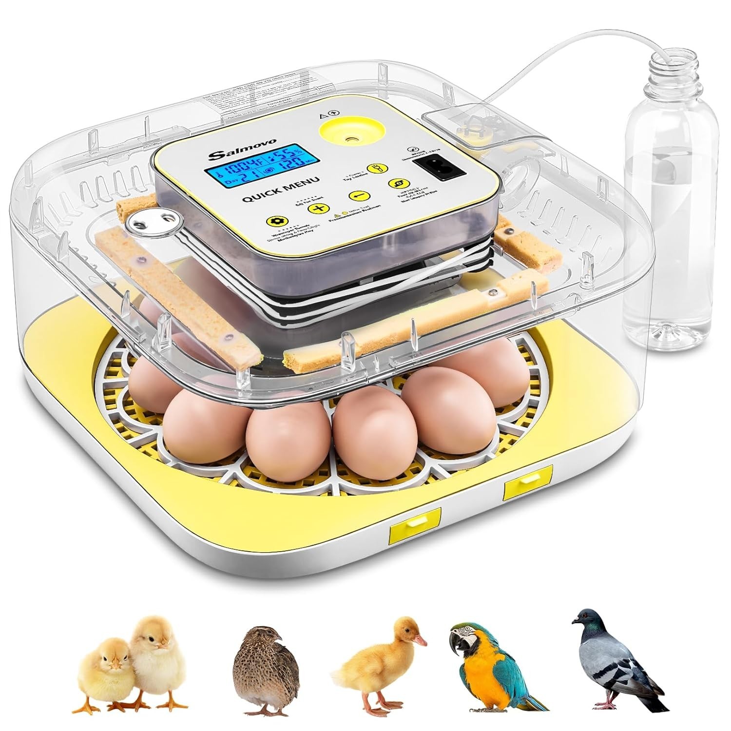 12 Egg Incubator with Automatic Water Refill for Hatching Eggs Auto Egg Turning~