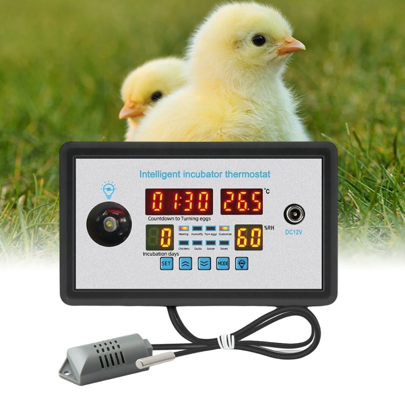 Thermostat Digital Temperature Humidity Automatic Egg Turning Control Incubator