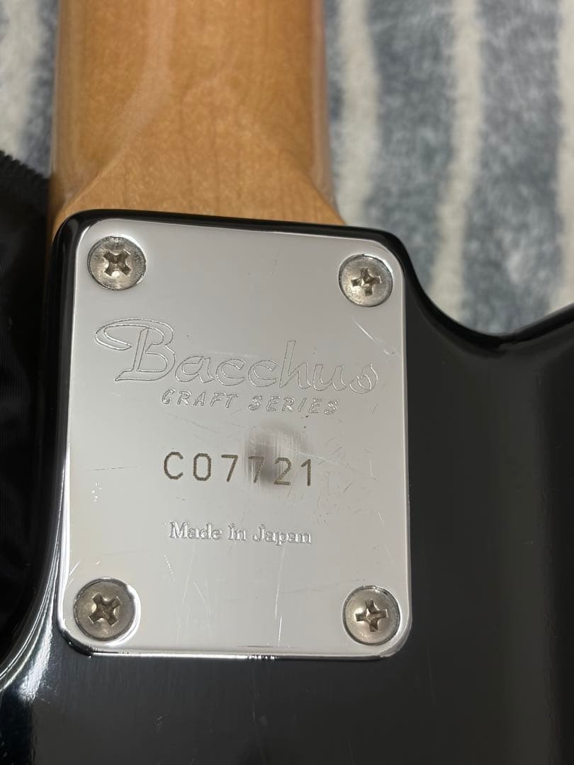 Bacchus Craft Series Telecaster type Safe packing!