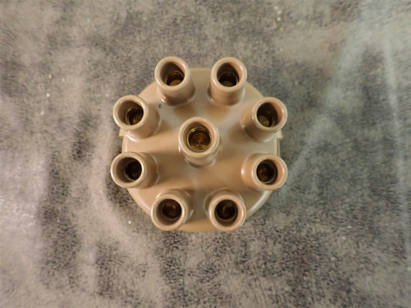 NEW WVE 5D1364 Distributor Cap (G208)