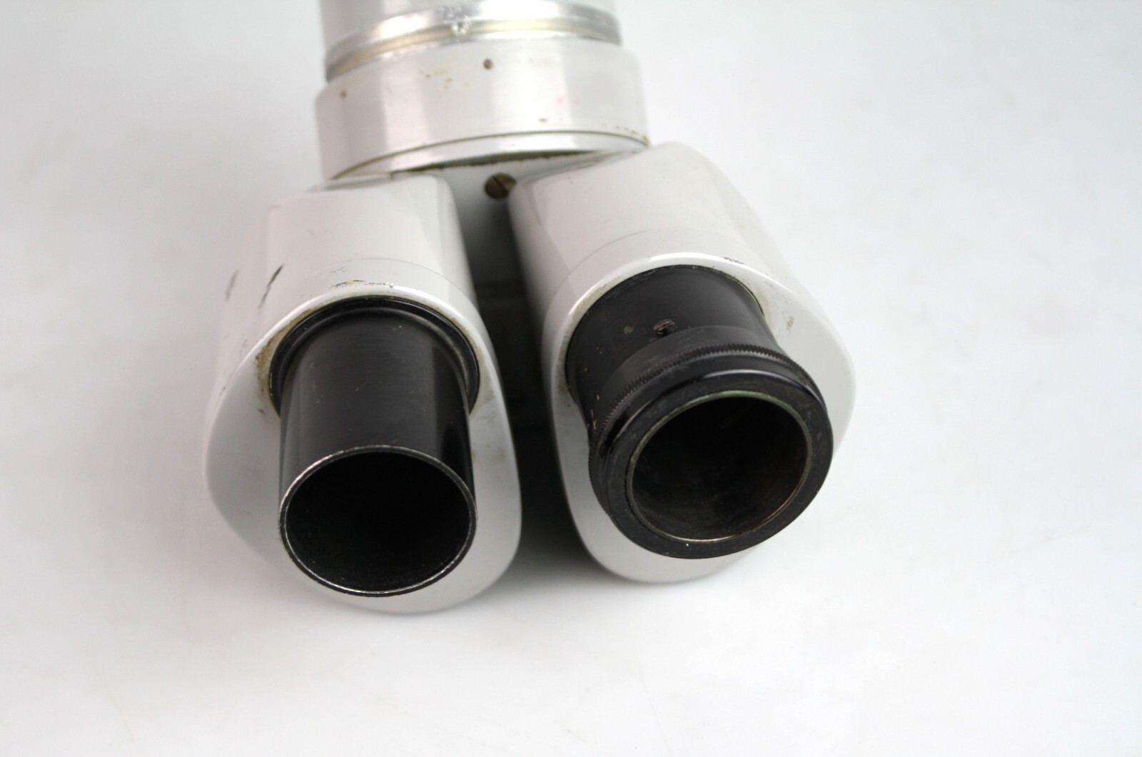 Nikon Stereo Microscope Head