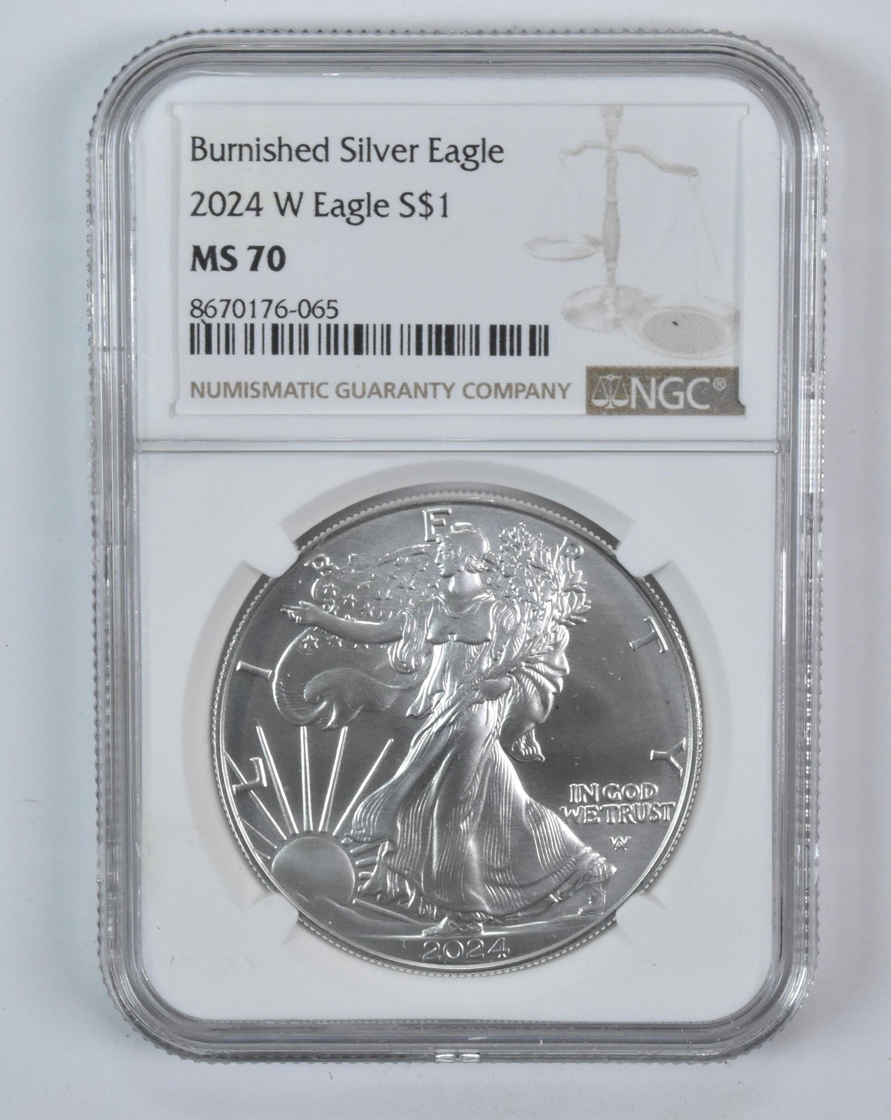 2024-W Burnished Silver Eagle MS70 NGC Brown Label