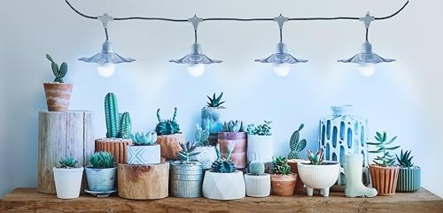 Grow with Elegance 4-Socket & Sliver Shade (4KK Blue Spectrum Edition)