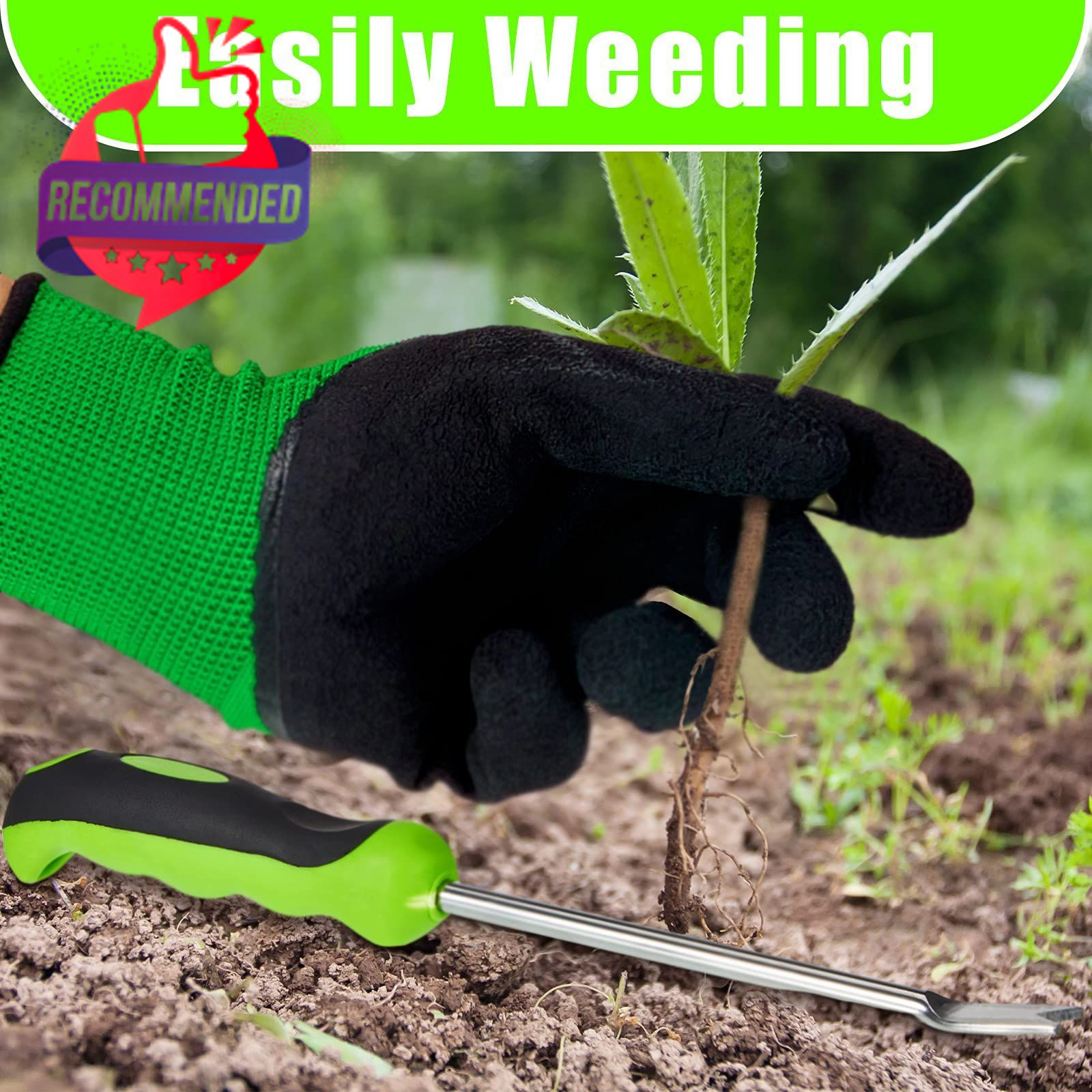 12.8'' Dandelion Weed Puller Tool with Soft Handle Polished Stainless Steel...
