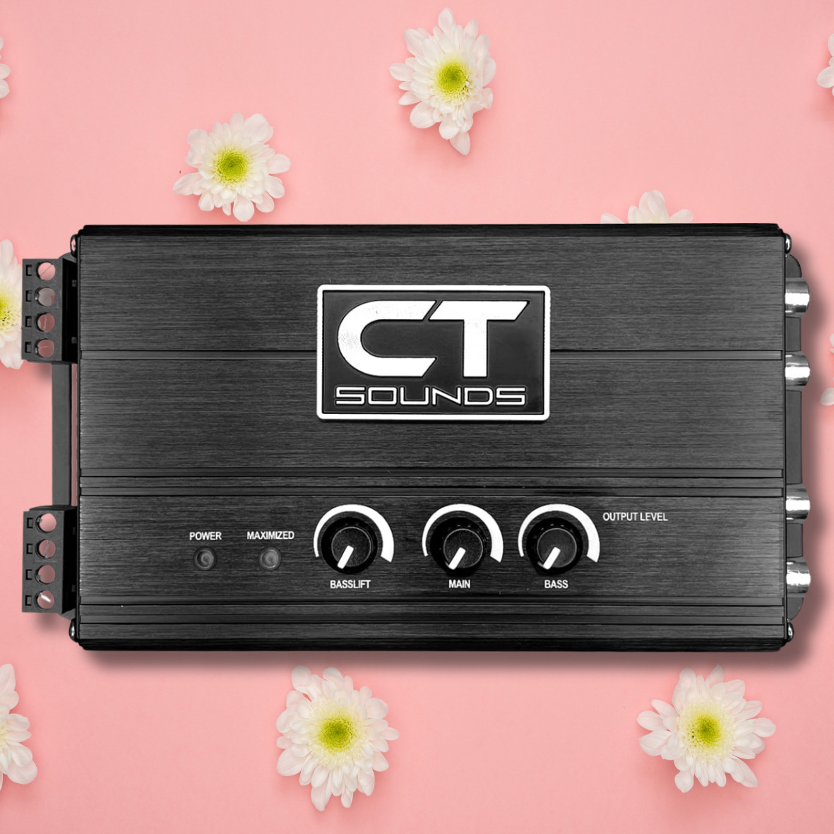 CT-LC2 2-Channel Premium Line-Out Converter with BassLift