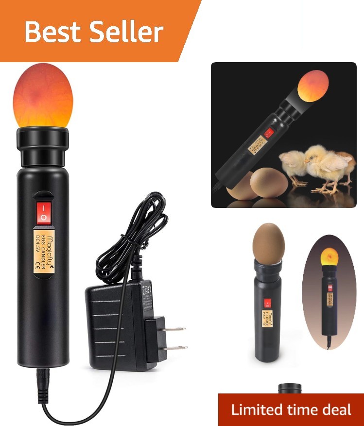 High Lumens Egg Candler with Durable Design - Ideal for School Labs and Hatching