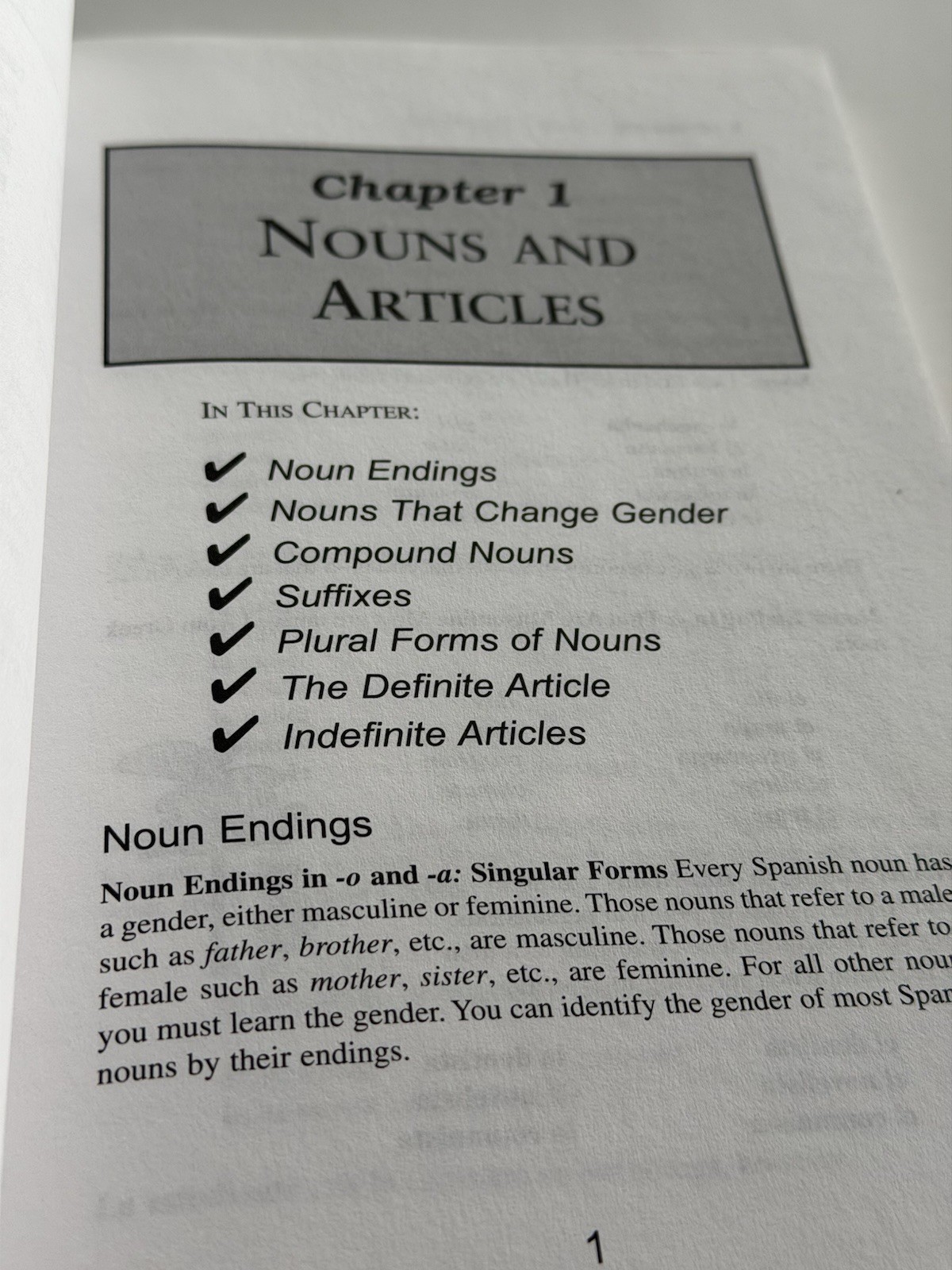 Schaum's Easy Outline Of Spanish, Second Edition—EUC