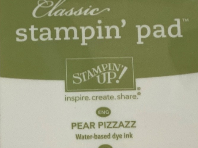 Stampin Up Ink Pad PEAR PIZZAZZ IN COLOR 2010 Retired Classic Case AS IS DAMAGED