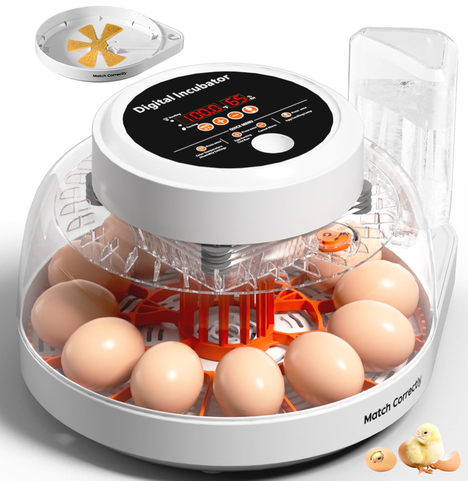JELSVOP Upgraded Egg Incubator for Hatching Eggs, 12 12 EGGS, Orange