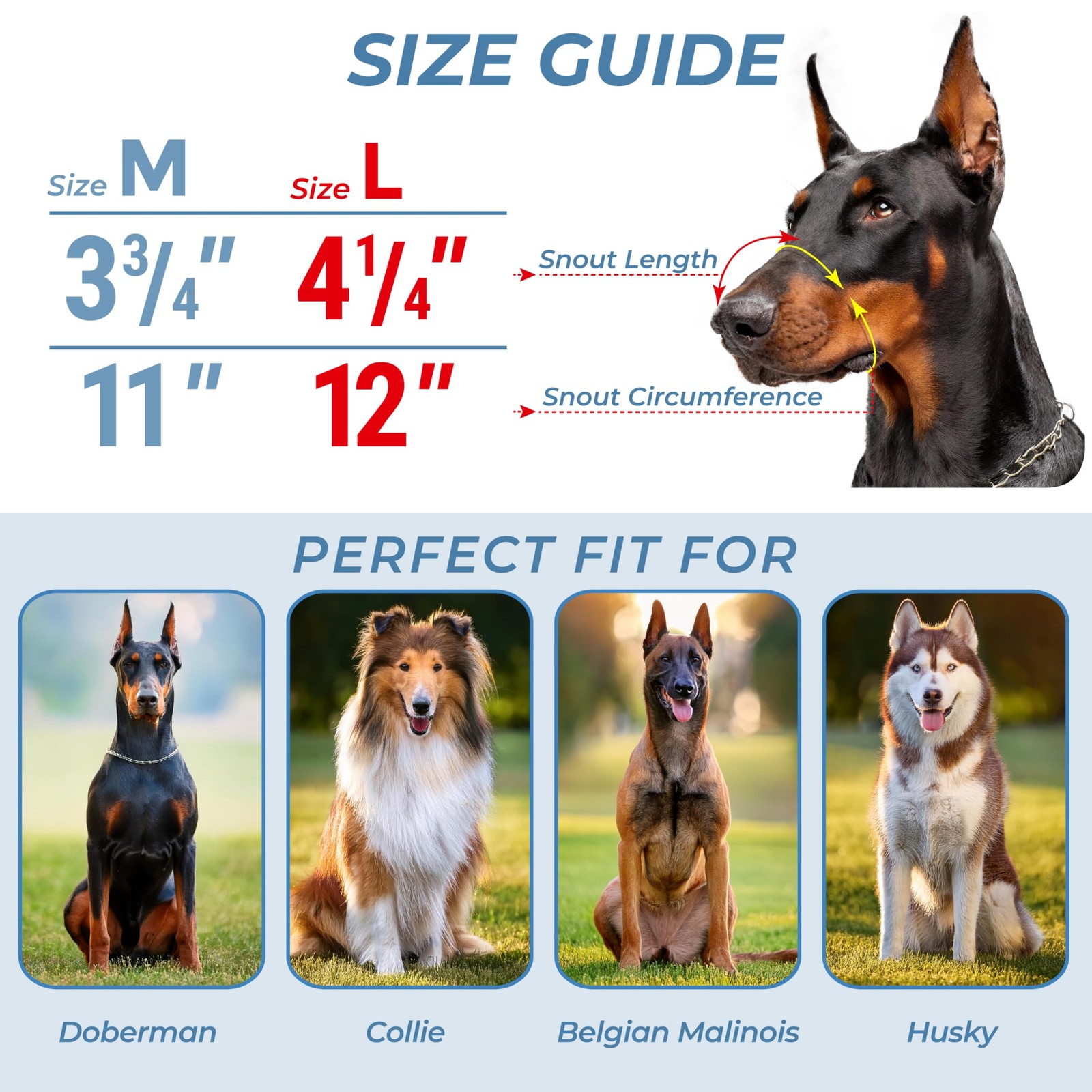 CleverTail Metal Doberman Muzzle for Large Sized Dog - Cage Muzzles for Barki...
