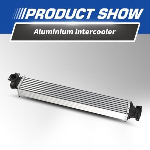 197105AAA01 Intercooler Compatible with Civic 1.5L L4 2016-2021 Replace 19710
