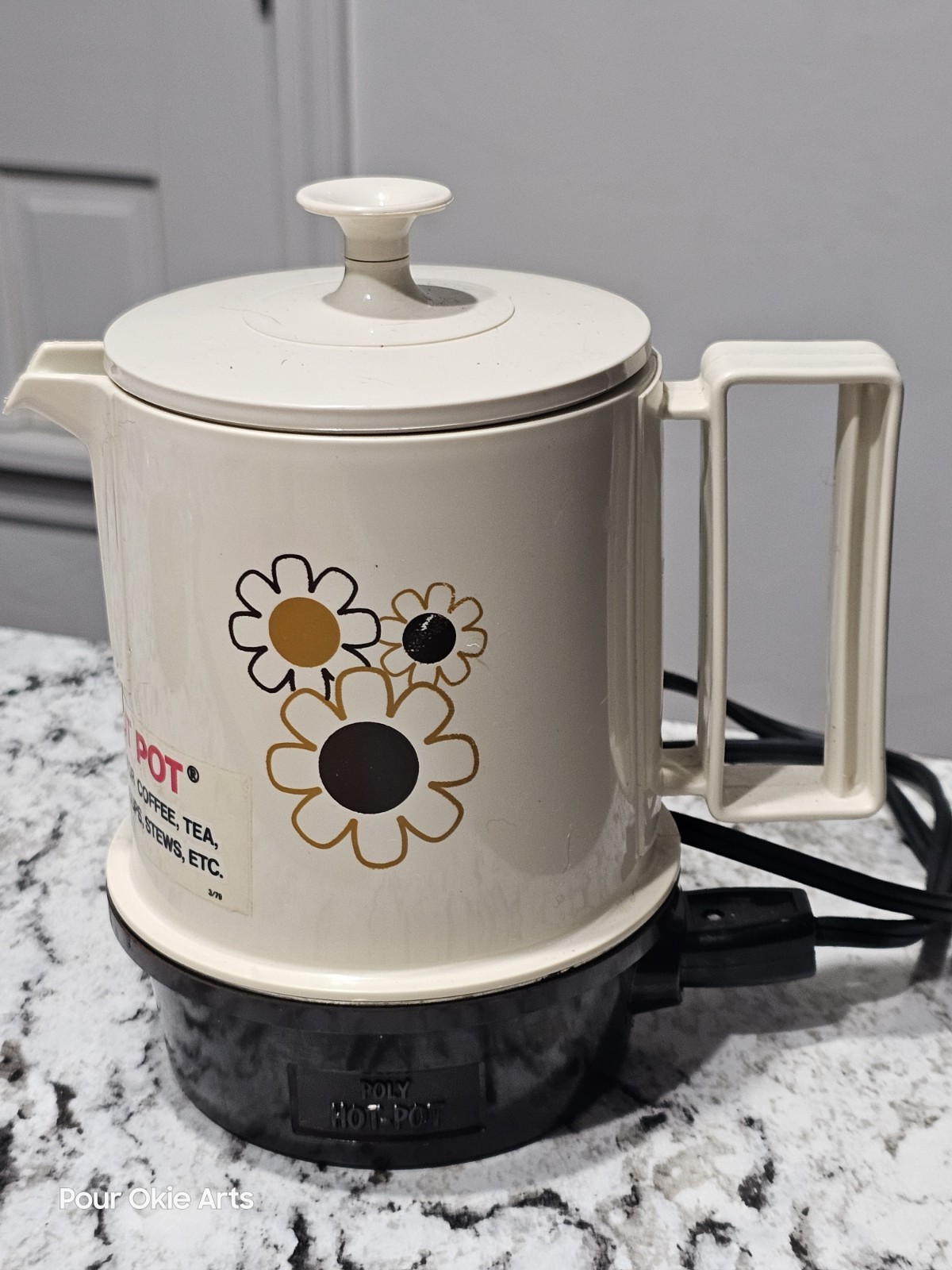 Regal Poly Hot Pot Electric Kettle 5 Cup Vintage Flower MCM Automatic Insta Hot