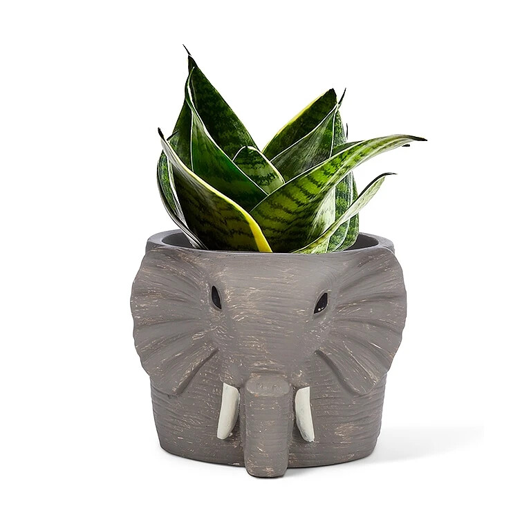 Cement Gray Elephant Planter Flower Pot Decor Cute 4.5"Tall  NIB